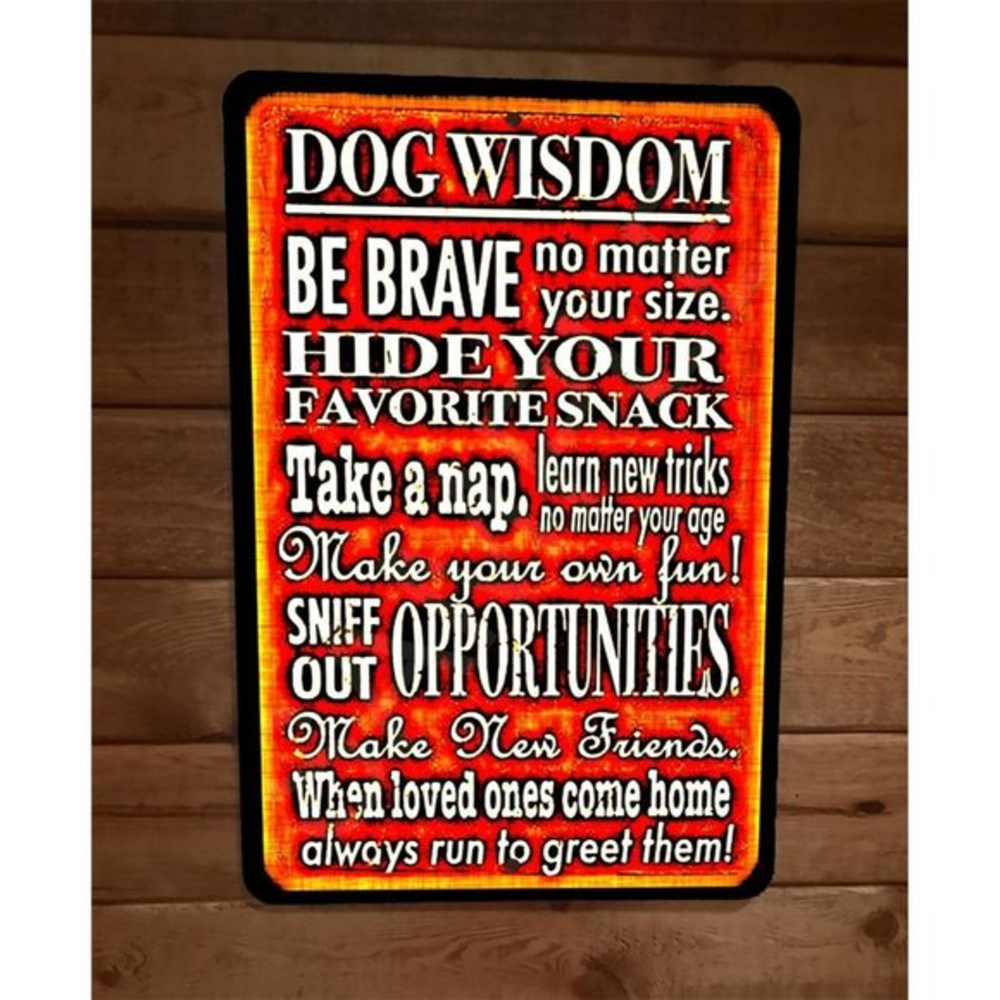 Dog Wisdom Quote Phrase Be Brave Hide Your Fav Snack 8x12 Metal Wall Animal Sign